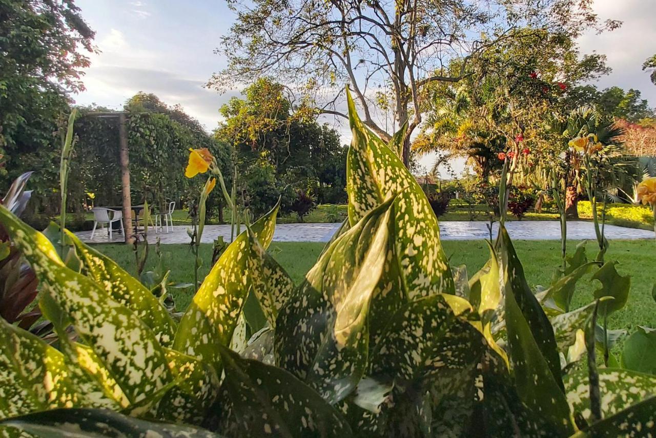 Balsora Hotel Boutique El Edén Dış mekan fotoğraf