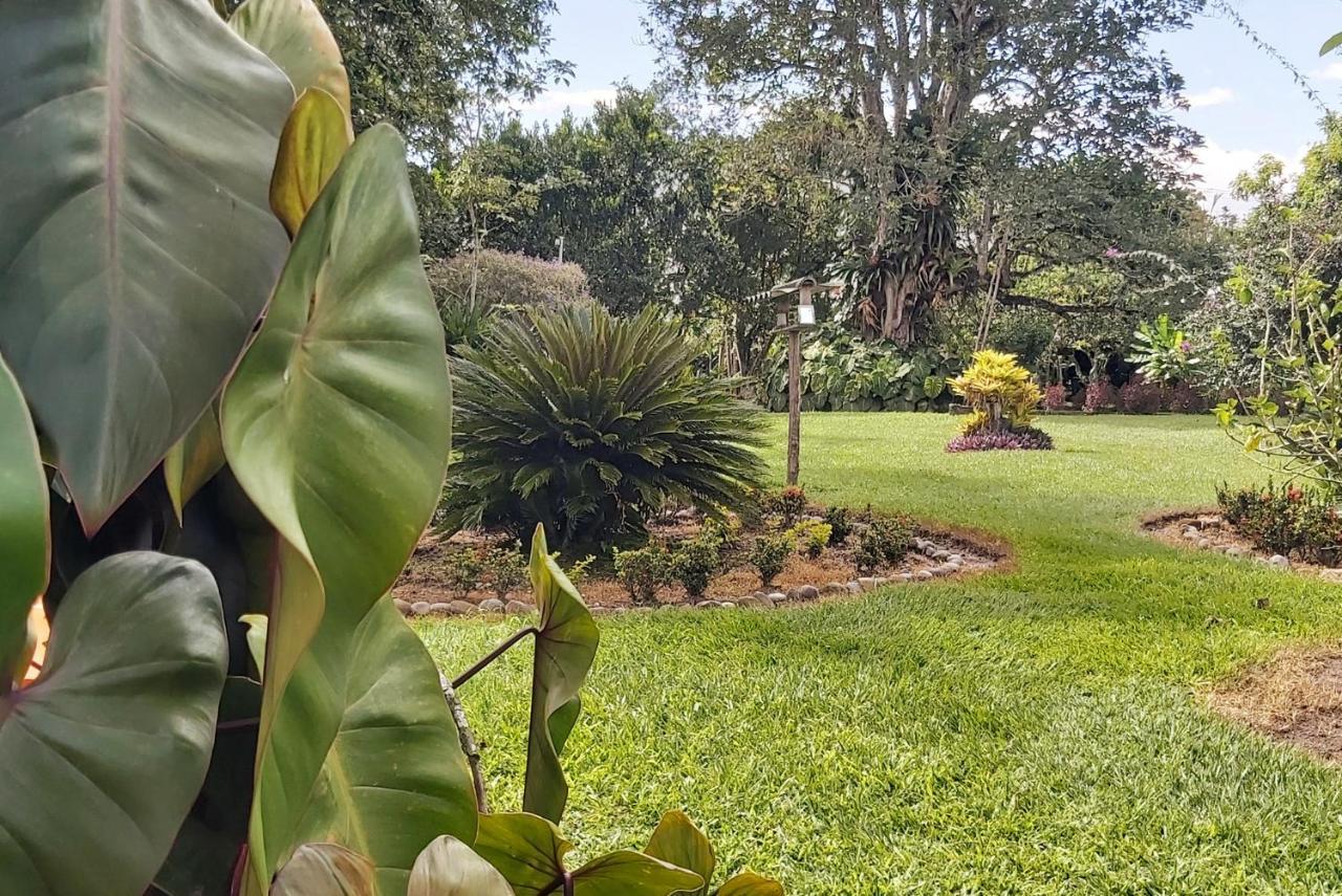 Balsora Hotel Boutique El Edén Dış mekan fotoğraf