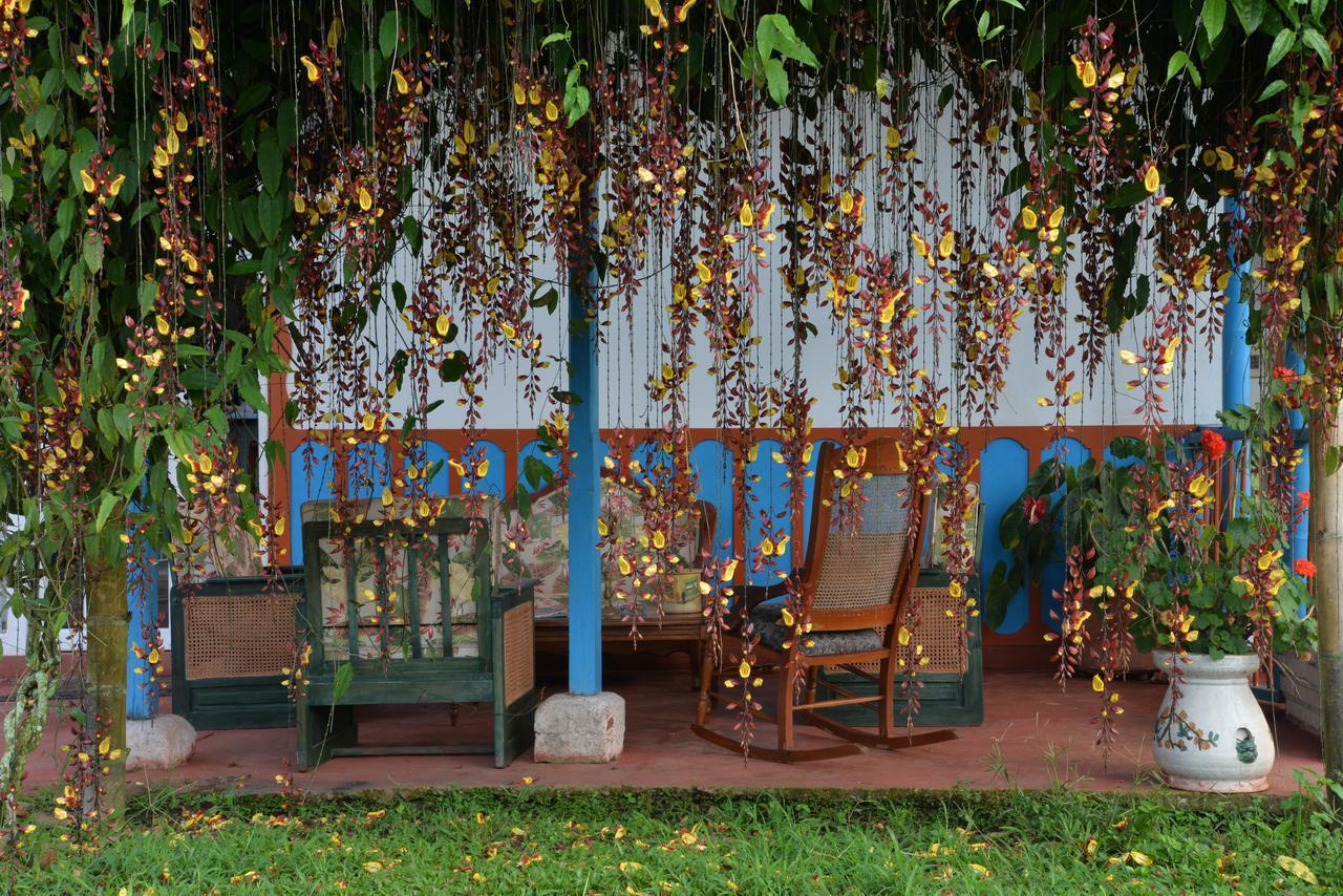 Balsora Hotel Boutique El Edén Dış mekan fotoğraf